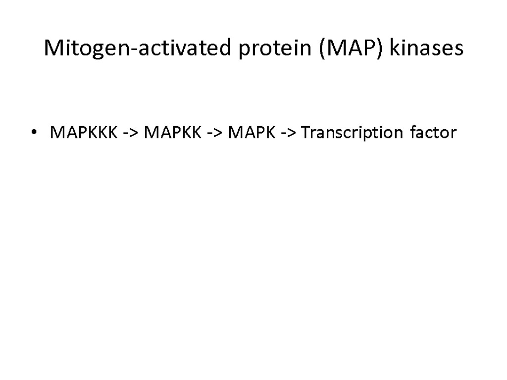 Mitogen-activated protein (MAP) kinases MAPKKK -> MAPKK -> MAPK -> Transcription factor